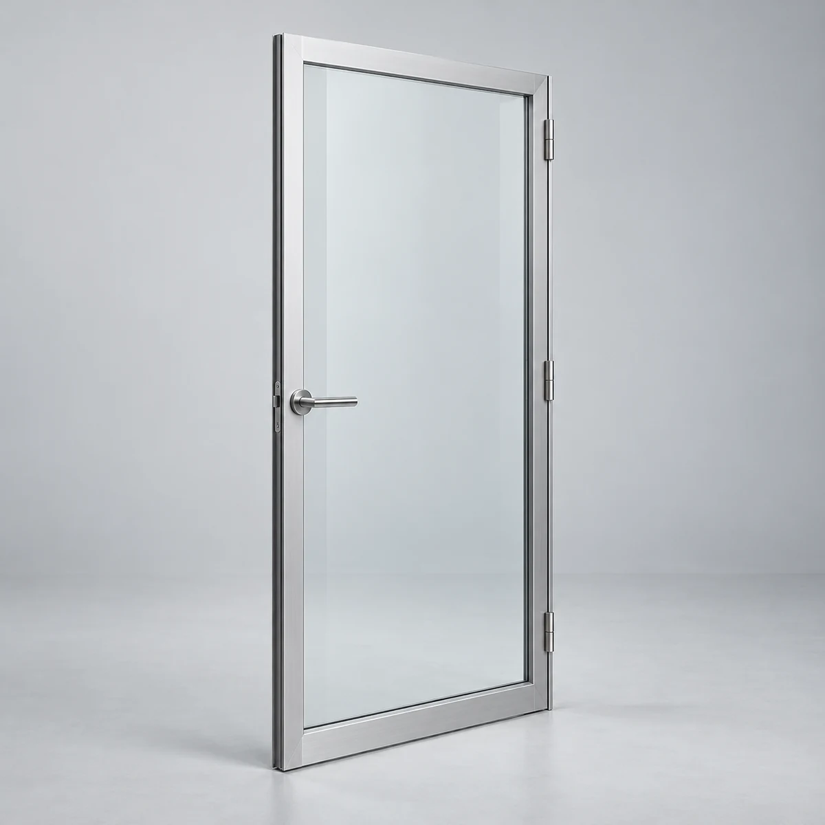 Single Glass Door